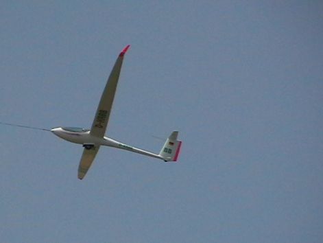 imga0145repvit.jpg