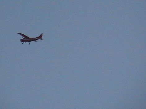 imga0728pirrep.jpg