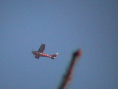 imga0742pirrep.jpg