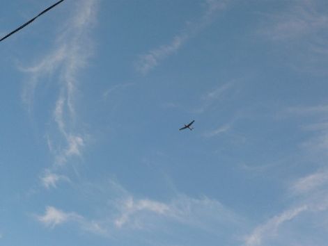 p1100442kon.jpg